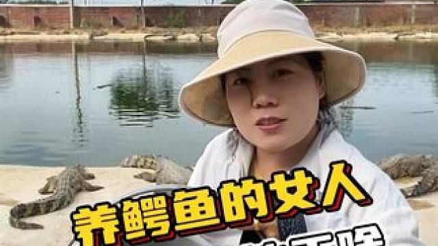养鳄鱼的女人，想在鳄鱼池干啥？#鳄鱼 #鳄珍 #鳄鱼与牙签鸟皮带