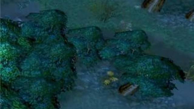 （三）大熊原声大碟，dota第一人大熊，不服来战