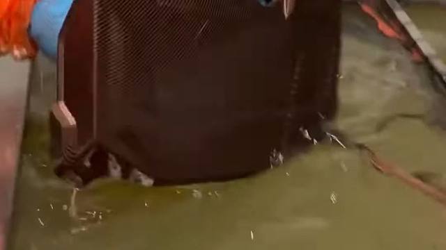 海外精选视频 海外短视频