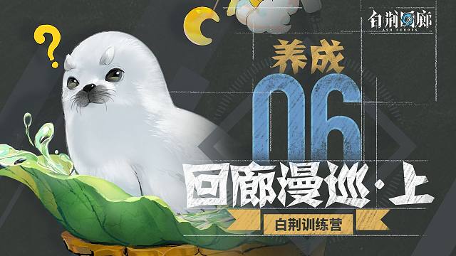 《白荆训练营》第六期：回廊漫巡（上篇）- 养成