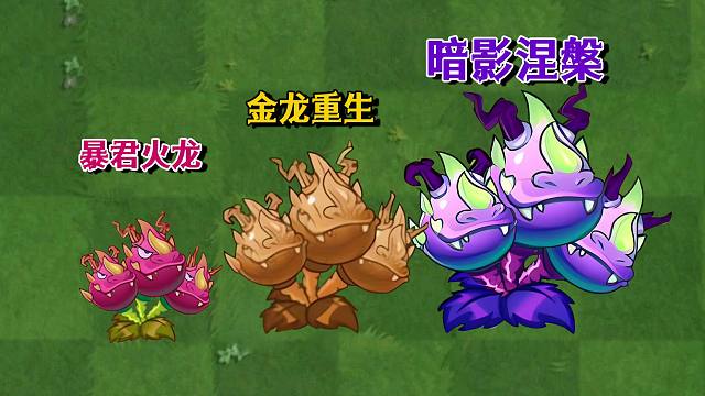 暴君火龙果的技能太震撼：金龙重生+暗影涅槃，伤害翻倍