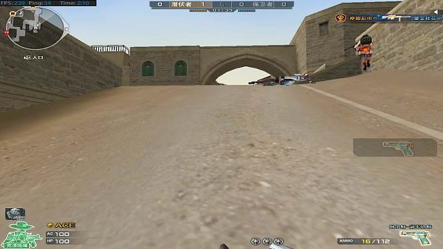 S评分的枪王排位