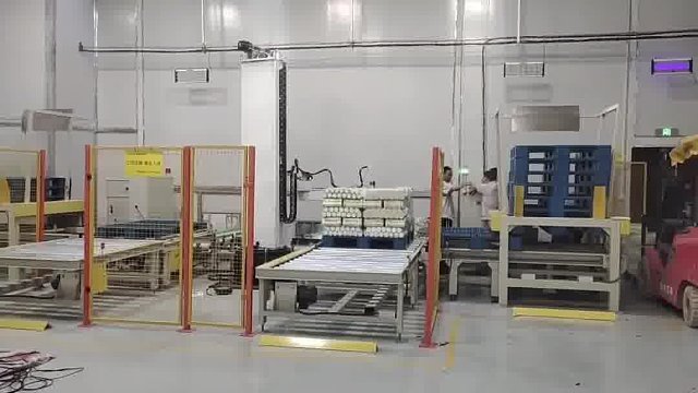 码垛机 本森码垛生产线厂家