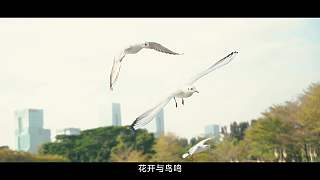 #公益廣告#悅來(lái) 粵美