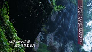 #公益廣告#只此青綠 大美廣東
