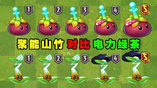 聚能山竹对比电力绿茶1-5阶对比，谁才是最强电王？