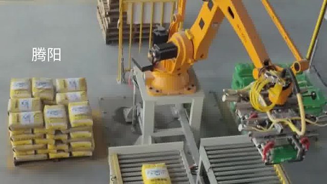 码垛机双工位码垛机