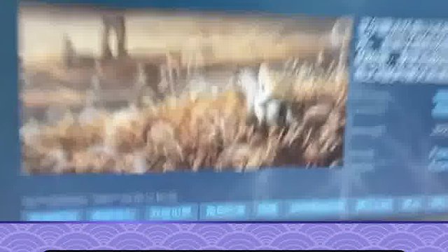 艾尔登法环神秘更新！新DLC黄金树之影2月5日公布！宣传片或已上传！