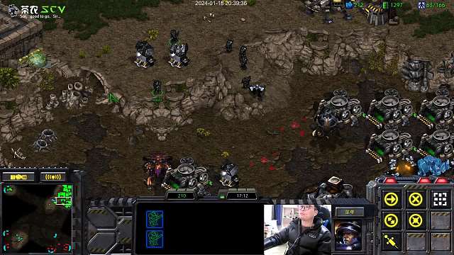 被灰本甩飞龙的一天TVZ