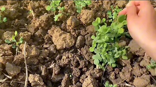 在不懂事的年纪毁了自己