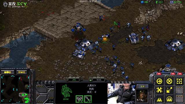 韩服天梯和棒子的TVZ，菜鸡互啄局。