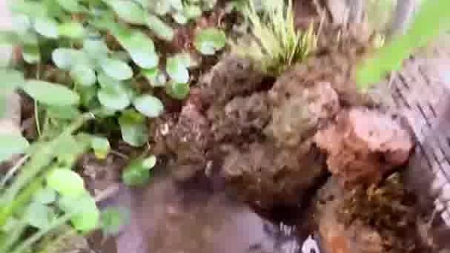 人生在世总得有点爱好吧