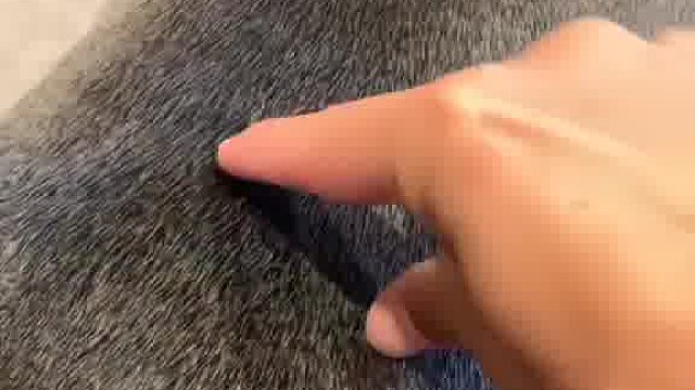 小松鼠 ：哼，我游泳不咋地 但我滑的好