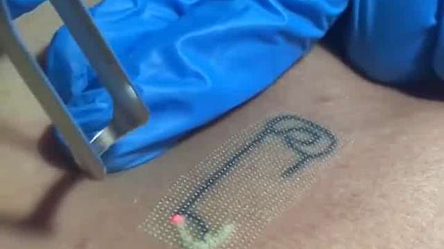 这纹的是？？？那个？