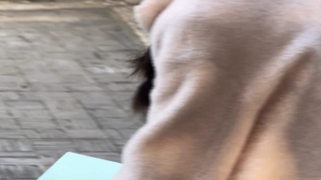 “今晚月色真美”【英雄杀嫦娥cos】