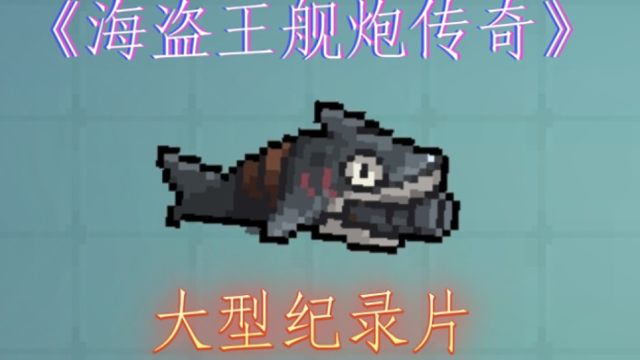 大型纪录片《海盗王舰炮传奇》