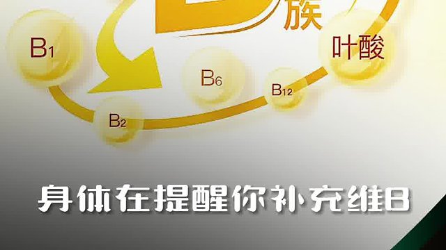 B族维生素养生必备的营养素