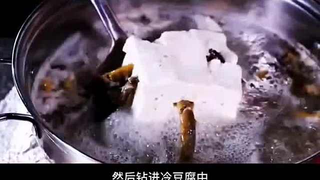 恐怖的四种美食，你都知道吗？