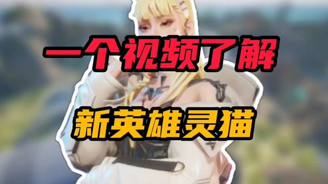 一个视频带你了解新英雄灵猫
