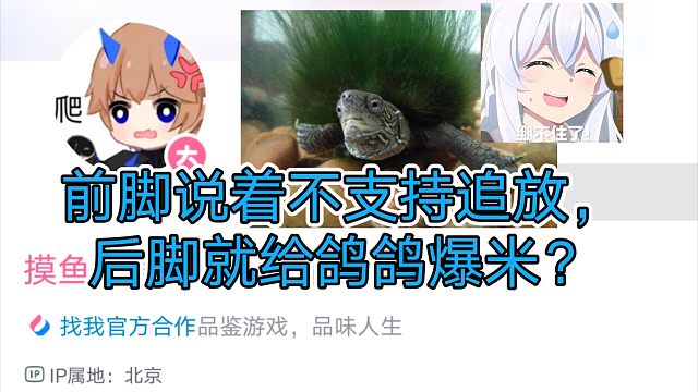 前脚说着不支持追放，后脚就给鸽鸽爆米？真崩不住……