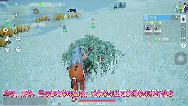 创造吧，我们的星球！野外植物图鉴