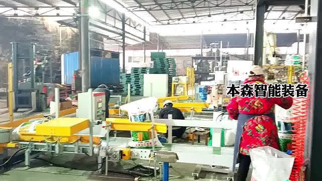 化工碳酸氢铵包装码垛生产线#碳酸氢铵包装码垛 #化工码垛 #碳酸氢铵码垛