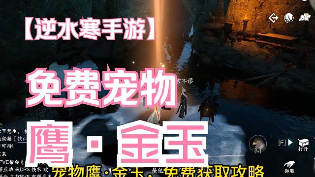 免费宠物鹰·金玉，超简单获取方式！