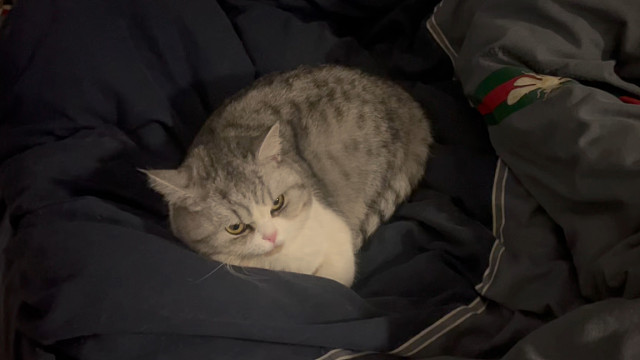 两小只睡觉离得最近的一次