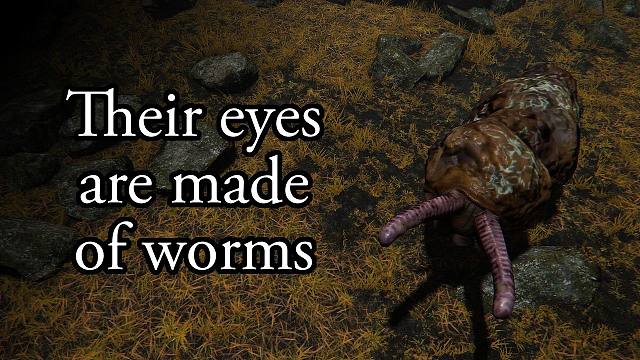 法环：虫脸的真实身份之谜