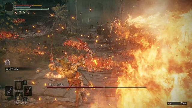 我是艾尔登之王!