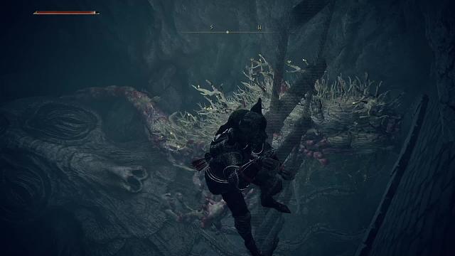 新人主播 多多关照-片段5