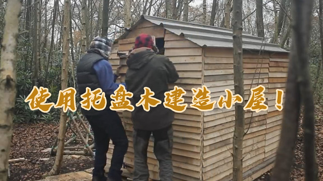 使用托盘木建造小屋，经济实惠的木格住宅！