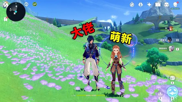 我玩原神的第425天：当萌新拿出这个角色，大佬该如何应对