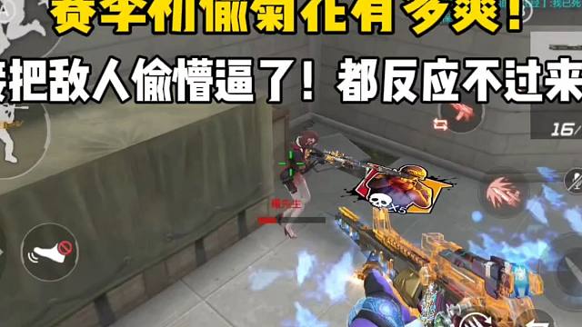 赛季初偷菊花有多爽！直接把敌人偷懵逼了！