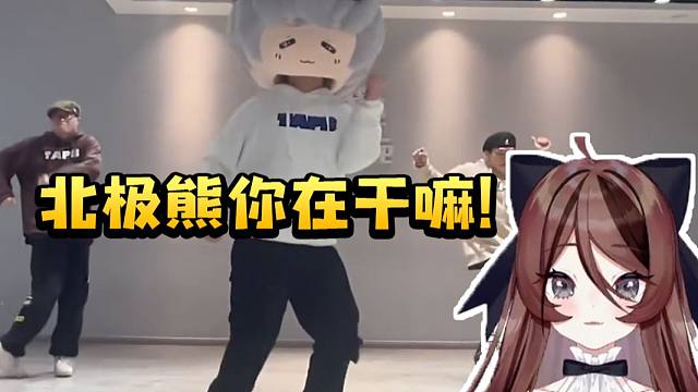 自由魂看北极熊跳不眠之夜当场人傻了：啊？你在干嘛？！