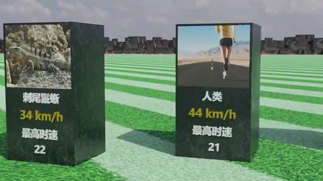 盘点不同动物的速度比较