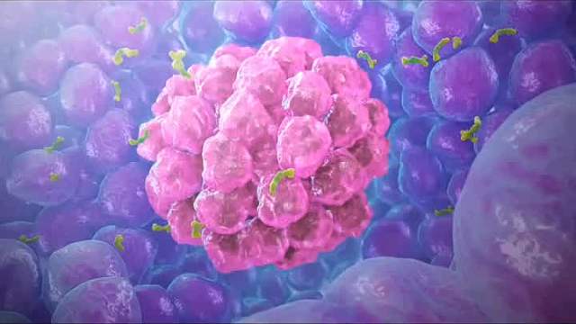 你经常吃肉吗？