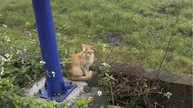 伸个懒腰，嗯～，这样的生活里有我，真好！