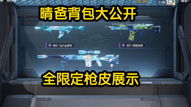 使命召唤手游 背包里 10款高质量限定或限时枪皮展示