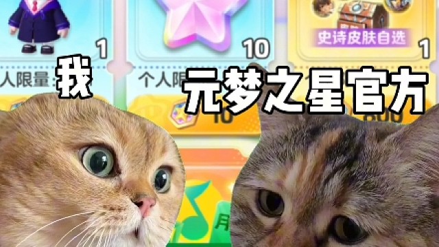 总的需要800个币兑换，邀请10个好友可以获得500个（邀请的好友必须玩到三级），然后就是每天玩一把