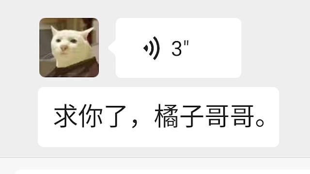 白菜求我打游戏