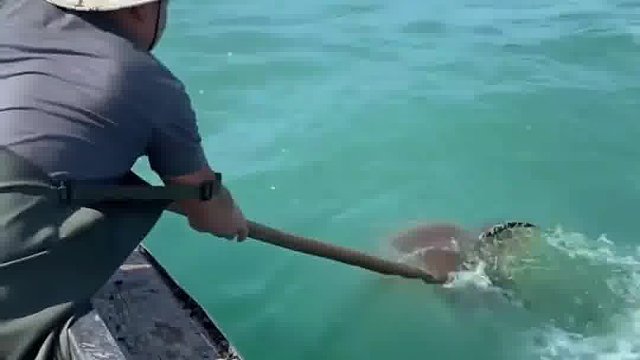 又是收获满满的一天