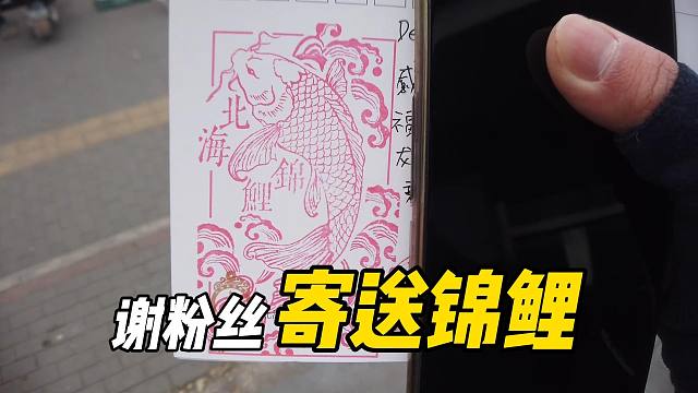 【北海锦鲤】这些年我花光了所有储蓄，大陆粉丝为了救济也我祝我新婚快乐，打赏了我，我准备了北海公园的招