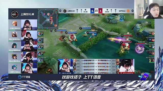 专业解说 TES VS EDG