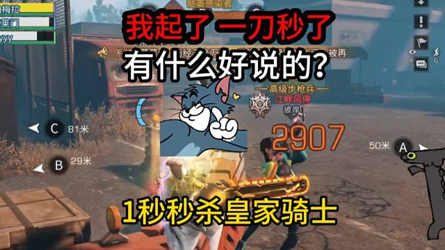 【明日之后】皇家骑士？我起了，一刀秒了，有什么好说的