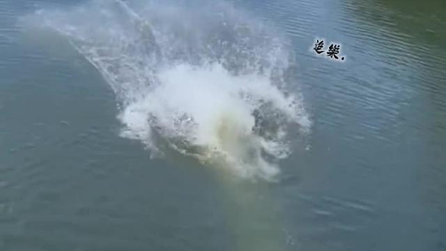 你有多自信，世界就有多相信你！