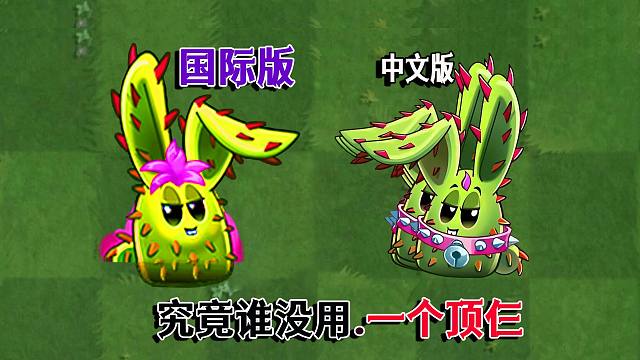 中文版兔极VS国际版兔极：到中文版就变废物？