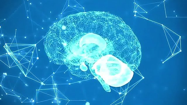 想要补充脑力不妨试试这款