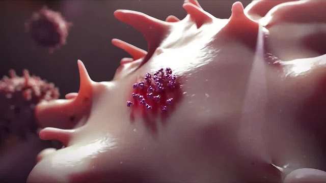 化疗药其实就是毒药杀敌一千自损八百