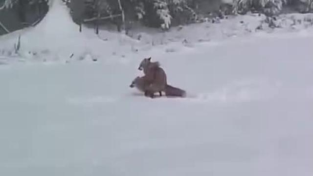 爸爸的笑容逐渐消失了